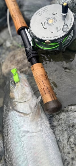 Upper Pitt River Adventures 
