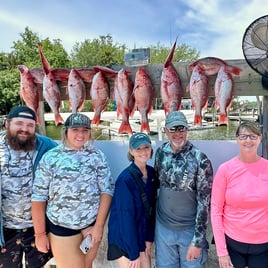 6 Hour Mahi Experience 