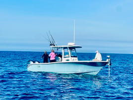 5 Hour Mahi Slam
