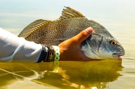 Fly Fishing The Lower Laguna Madre