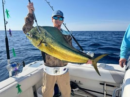 Cobia Sight Fishing 