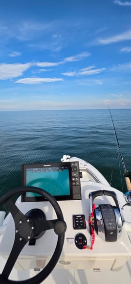 Cobia Sight Fishing 
