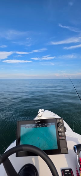 Cobia Sight Fishing 