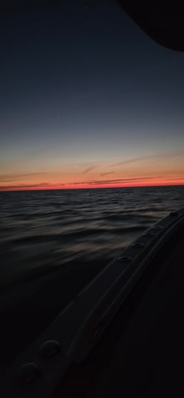 Cobia Sight Fishing 