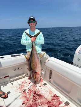 Cobia Sight Fishing 