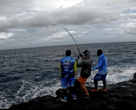 Rock Fishing Live & Dead Baits