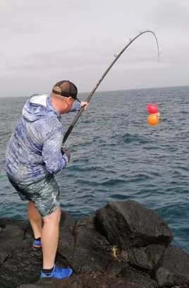 Rock Fishing Live & Dead Baits