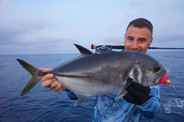 Rock Fishing - Spinning (Lures)