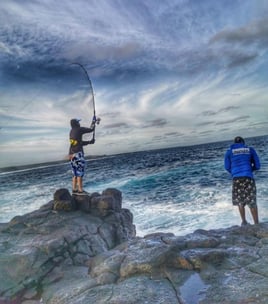 Rock Fishing - Spinning (Lures)
