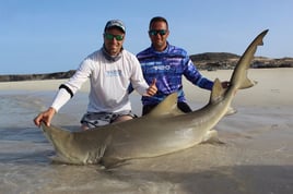 Heavy Surf Casting