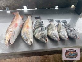 Spend Your Day On The Water With Us