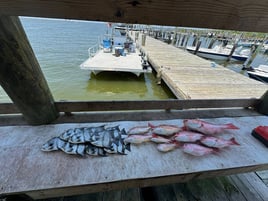 6-10 Hour Trip - OFFSHORE