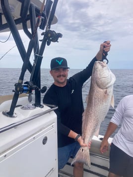 6-10 Hour Trip - OFFSHORE