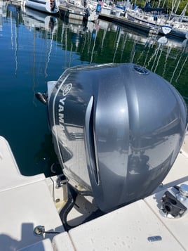 Seattle Salmon Drift Fishing