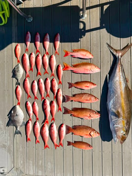 St. Augustine Snapper Trips
