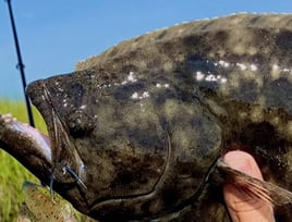 Inshore Fishing Charter