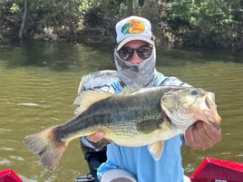 Bass On Lake Omodeo, Sardinia