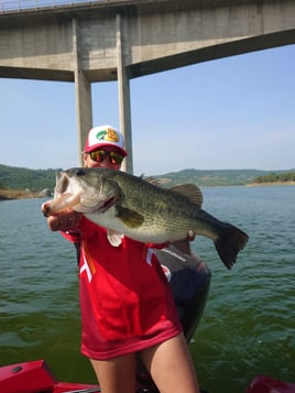 Bass On Lake Omodeo, Sardinia