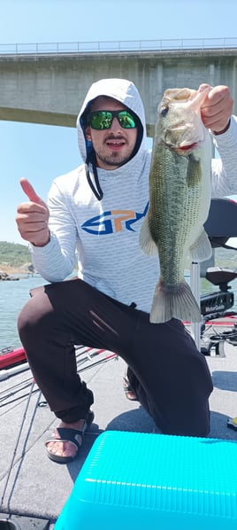 Bass On Lake Omodeo, Sardinia