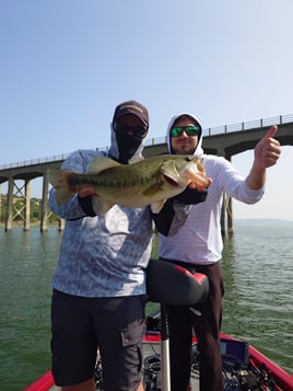 Bass On Lake Omodeo, Sardinia