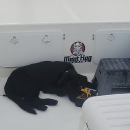 Reel Fun On The OBX - Cruise