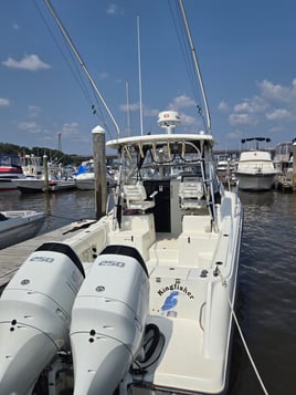 Half Day 5hr Sportfishing