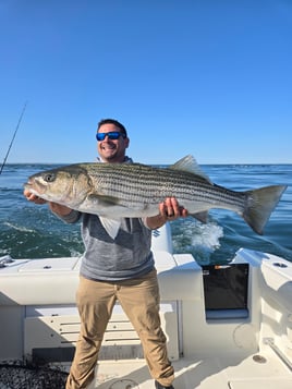 Half Day 5hr Sportfishing