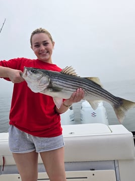 Half Day 5hr Sportfishing