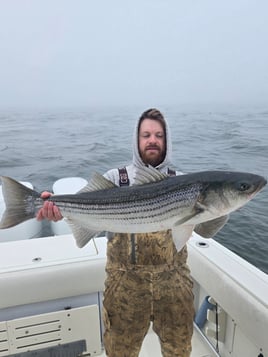 Half Day 5hr Sportfishing