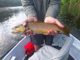 5 Hour Trip – Bass, Pike & Trout