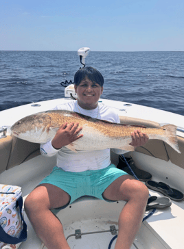 4 Hour Inshore Trip