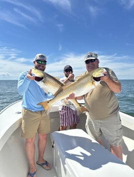 Inshore Fishing Trip