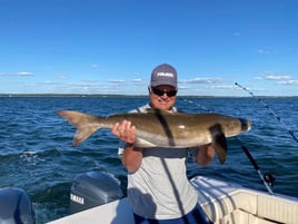 Inshore Fishing Trip