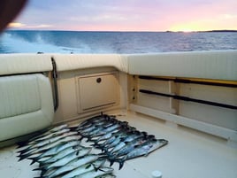 Inshore Fishing Trip