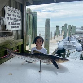 Inshore Fishing Trip