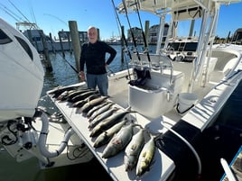 Inshore Fishing Trip