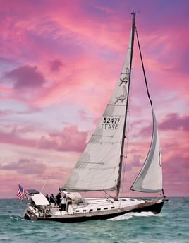 Daytime Sailing Experience