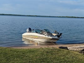 Morning Walleye 