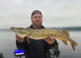 Morning Northern Pike 