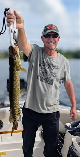 Morning Northern Pike 