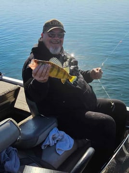 Spring Or Fall Perch