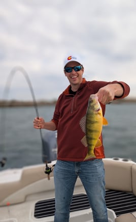 Spring Or Fall Perch