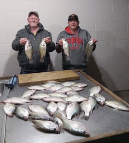 Green River Lake Crappie Trips