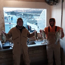 Green River Lake Crappie Trips