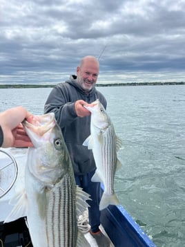 Everything Inshore