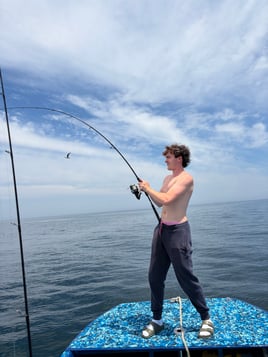 Everything Inshore