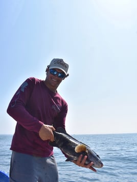 Cape Cod Bay Light Tackle Fishing