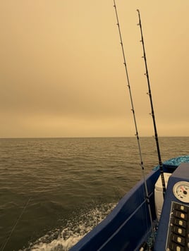 Cape Cod Bay Light Tackle Fishing
