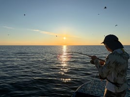 Everything Inshore