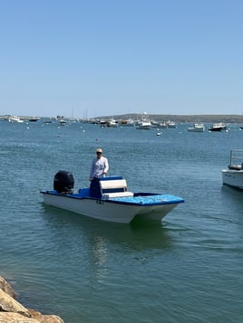 Everything Inshore